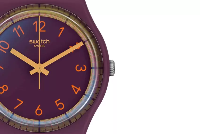 Orologio Swatch Winepay! SVHV100-5300  