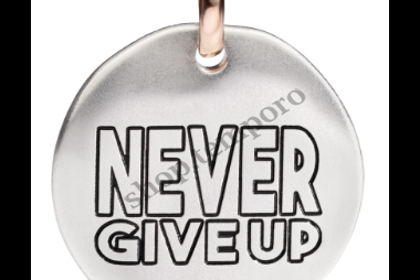 NEVER GIVE UP QUERIOT 