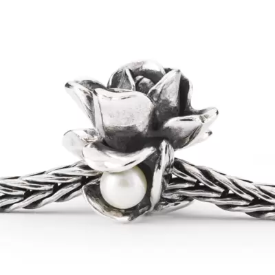 Trollbeads Rosa Di Giugno 