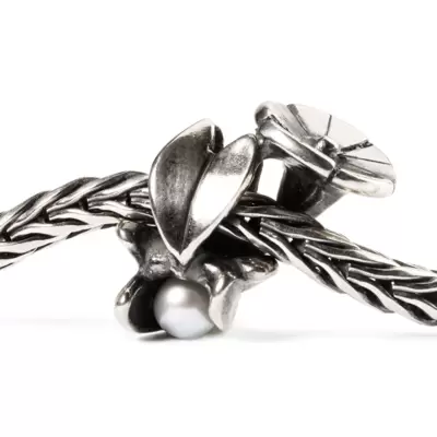 Trollbeads Convolvolo Di Settembre 