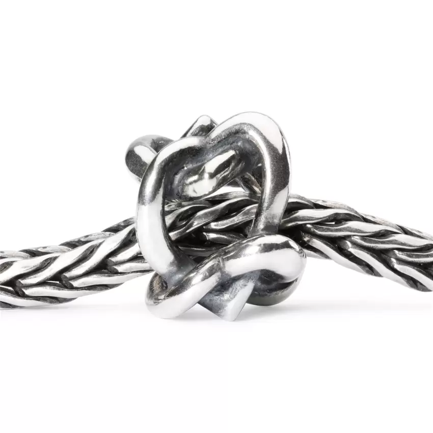 Trollbeads Uniti Per Sempre  