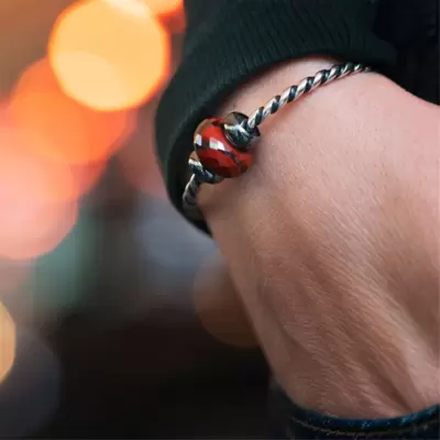 Trollbeads Stop! Argento Brunito 